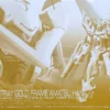 RG 1/144 GUNDAM ASTRAY GOLD FRAME AMATSU HANA