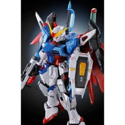 RG 1/144 DESTINY GUNDAM [TITANIUM FINISH] -Figurines Du Modèle N2520371001003 004