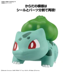POKEMON POKE-PLA QUICK! 13 BULBIZARRE (BULBASAUR) 10 POKEMON POKE-PLA QUICK! 13 BULBIZARRE (BULBASAUR) -Figurines Du Modèle bans65095 3