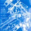 MG 1/100 MISSION PACK F-TYPE & M-TYPE POUR GUNDAM F90 -Figurines Du Modèle pb mg f90 mission pack f m boxart