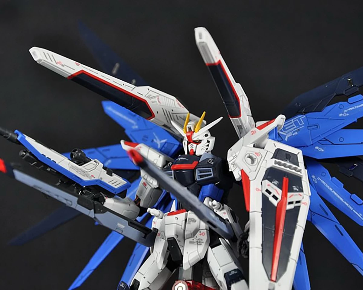 RG 1/144 FREEDOM GUNDAM 8 RG 1/144 FREEDOM GUNDAM – Image 6